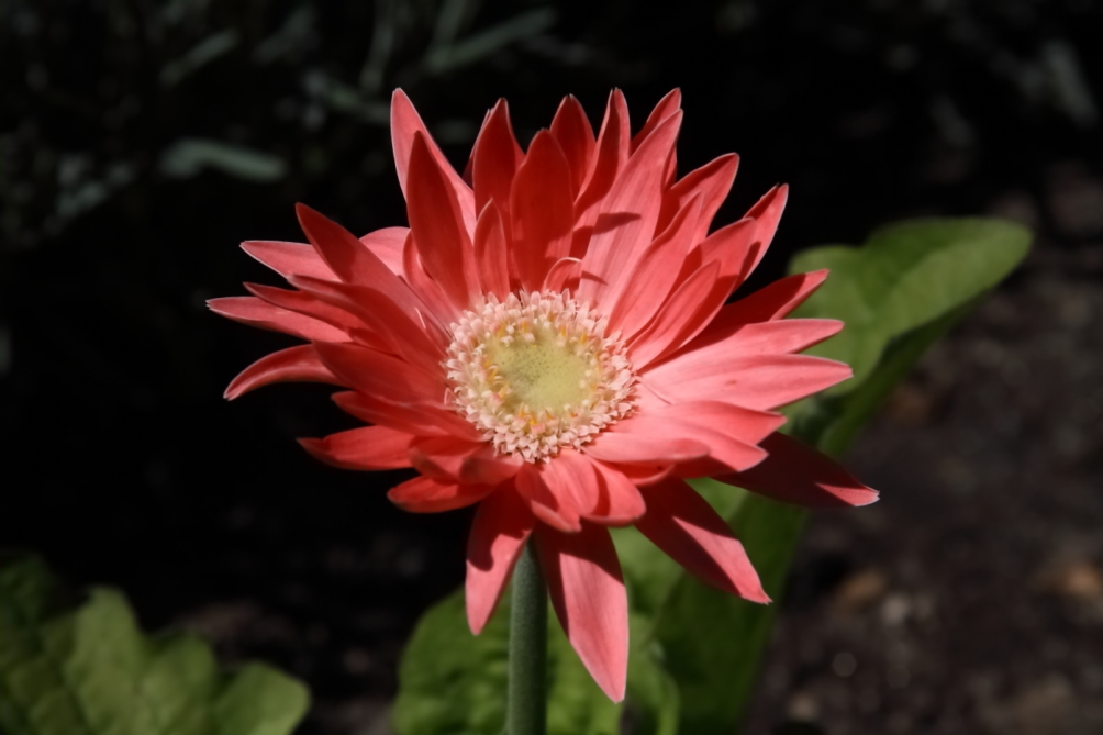 2012 05 20 3993